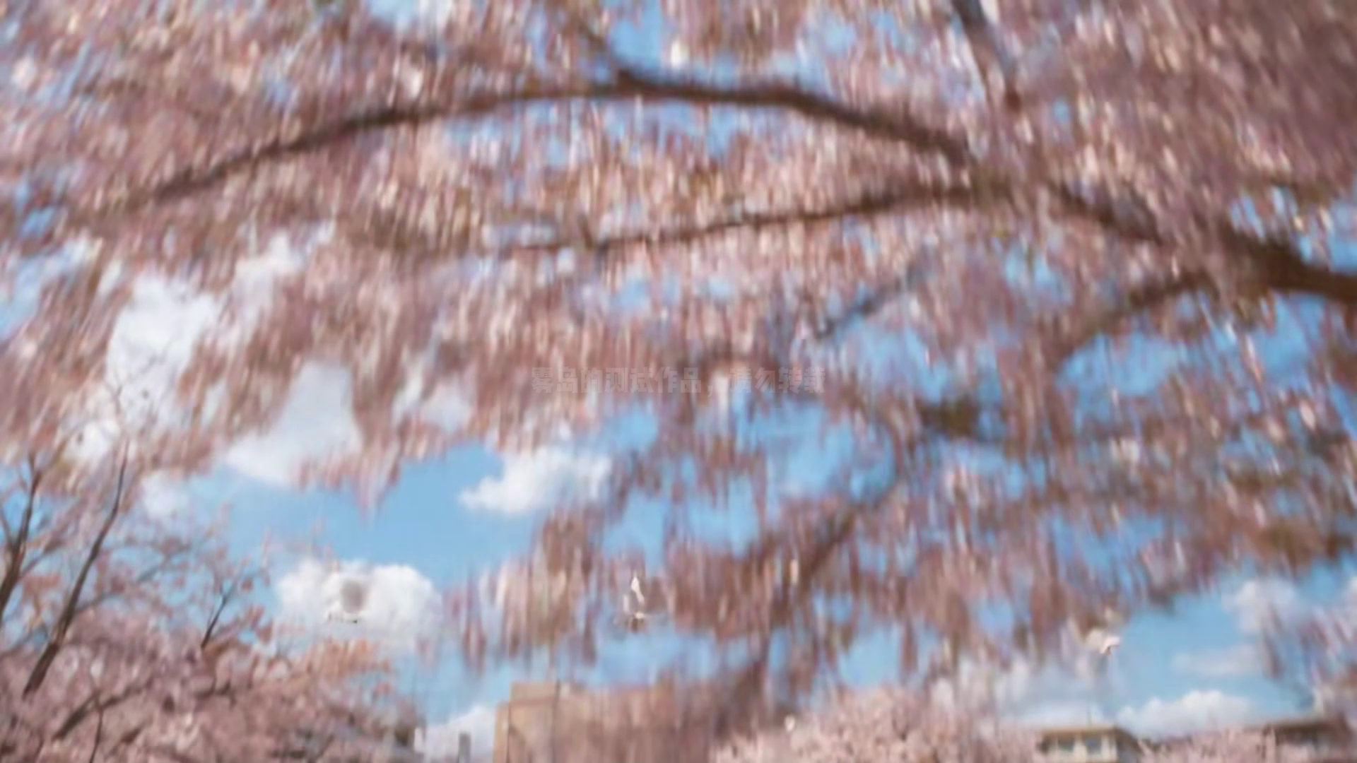 镜头2